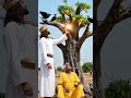 Jesus Miracle #godmessage #jesus #todaygodmessage #crucifixion #devil #jesuslovesyou #amen #bible