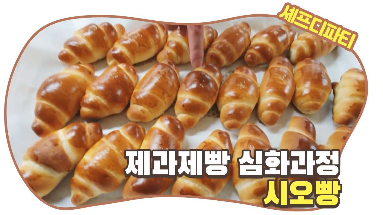 제과제빵 심화교육과정 시오빵 만들기 : Making Shio Bread