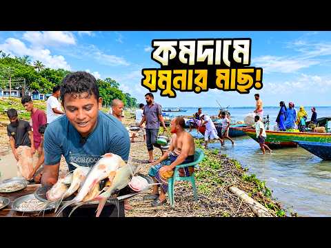 যমুনা নদীর পাড়ে দেশি মাছের মেলা । Morning Fish Market At Sirajganj