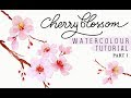 How to paint Sakura / Cherry Blossom Flowers