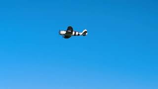 FMS 1500mm P47. Ross piloting