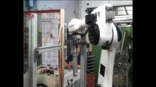 Hyundai Robot Asservimento Dentatrice. Casarini Robotica