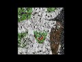 fakemink - Braces (Prod Suzy Sheer)