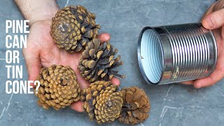 Just get a tin can, pine cones, and you've got yourself a real masterpiece! tin can craft cone craft
