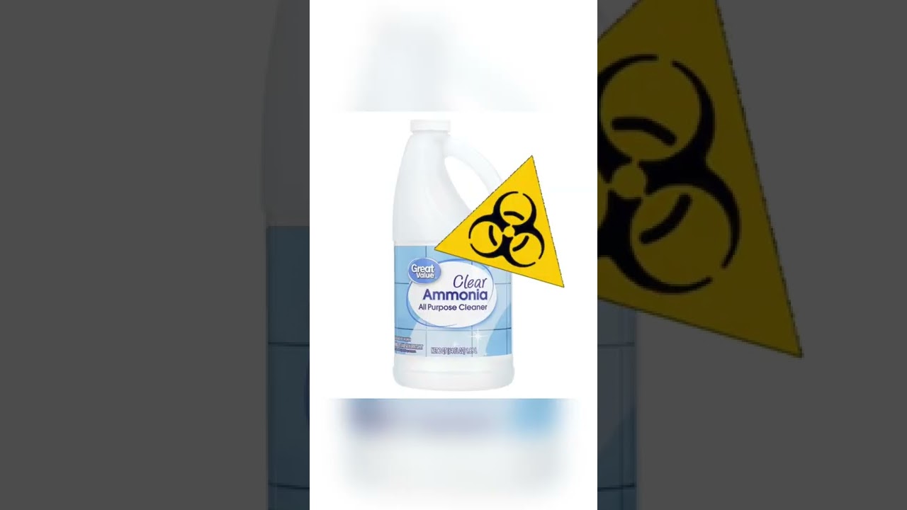 Freediving into a Cave FULL of- Pt 2 