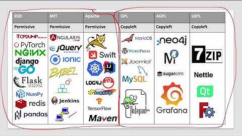 Software Licensing (Permissive / Copyleft)
