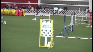 Patty&Kora JWW 04242016