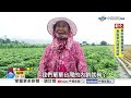 美"零關稅花生"將進口! 花生價"暴跌三成"創十年新低│中視新聞 20260610