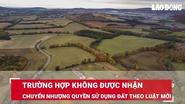 Trường hợp không được nhận chuyển nhượng quyền sử dụng đất theo luật mới | Báo Lao Động