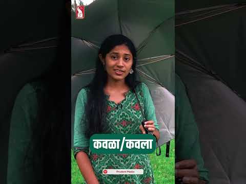 Hairy smithia | Smithia hirsuta | Jungle Book | Prudent |  Shorts