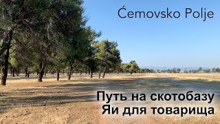 Vlog #3. Cemovsko Polje. Way to the stockyard, eggs for a friend.