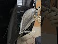 J Torres Tech || The greatest Dent puller easy process || Un gran saca golpes facil proceso