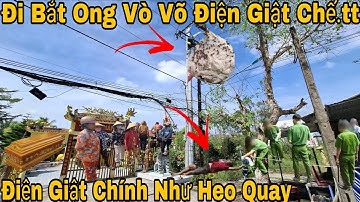 Thanh Niên Đi Bắt Ong Vò Vẽ Qua Đời Trên Cây Cột Điện 