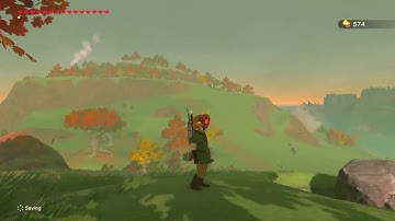 [DAY 574] of finding one korok seed everyday until Botw2 comes out