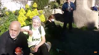 SENDAS SENIOR. FLORACIÓN DE ALMENDROS. LOS VIVANCOS