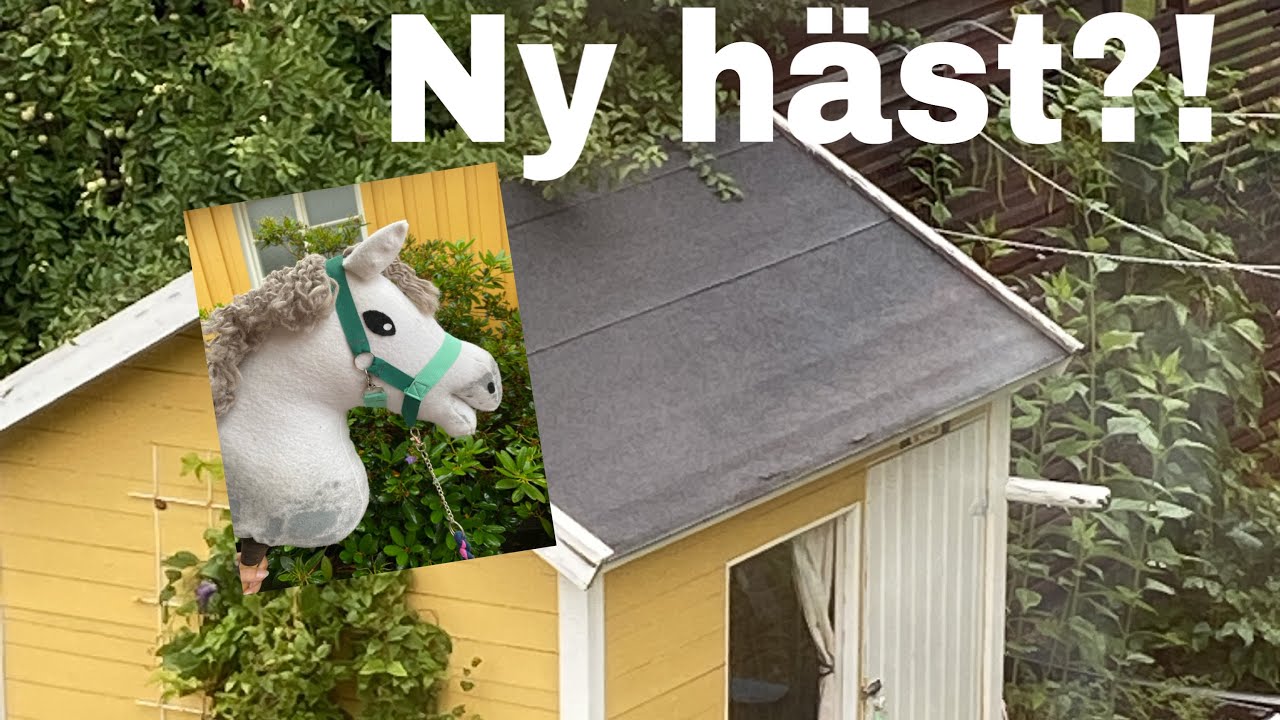 VLOGG- gör om stallet, ny häst?!