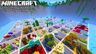 Parkour Paradise 3 | Minecraft Relaxing Longplay(No Commentary) | Part 2