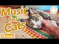 No ads extralong music to calm your cat  magic melody 