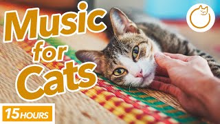 [No Ads] EXTRA-LONG Music to Calm Your Cat - MAGIC MELODY ✨ screenshot 4