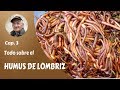 𝗘𝗟 𝗛𝗨𝗠𝗨𝗦 𝗗𝗘 𝗟𝗢𝗠𝗕𝗥𝗜𝗭 𝟯: ¿Qué es el humus de lombriz y cómo prepararlo? FERTILIZA TU HUERTO