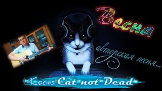 Костя Cat not Dead - Весна