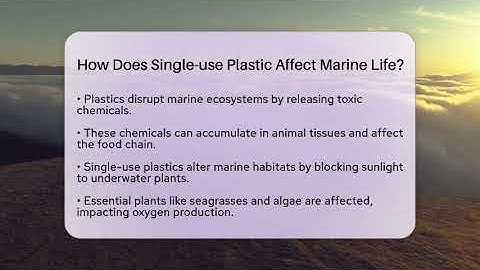 How Does Single-use Plastic Affect Marine Life? - Ecosystem Essentials