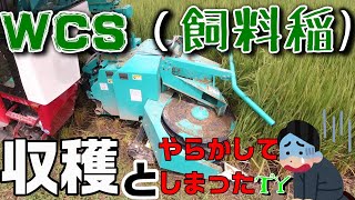 WCS(飼料稲)の刈り取りをしてもらいました・・・・が、しかし。