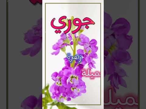 اسماء بنات تبدأ بحرف الجيم 