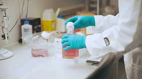 Automated Cell Culture Workflows: Biomek Integrated Solutions