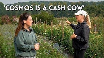 How She Cuts 55,000 Cut Flower Stems in a Month