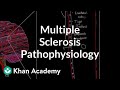 Multiple sclerosis pathophysiology | Nervous system diseases | NCLEX-RN | Khan Academy