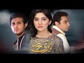 Teri Raza Drama OST ARY Digital