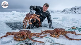 Extreme King Crab Fishing on Frozen Sea Ice | Cooking Giant Alaskan King Crab