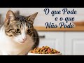 Gatos e Comida: O que Pode e o que Não Pode!