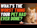 What&#39;s The Worst Thing Your Pet Has Ever Done? (r/AskReddit) #short