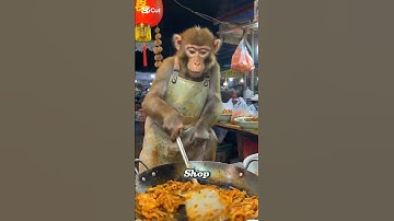 "A monkey is working at his owner