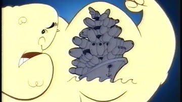 Cartoon Network Powerhouse Era Muscle Man Next Bumper Template (1998-2004) "FIXED AUDIO"