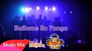 Video thumbnail of "El Champion y Los Wara - Bailame En Tanga"