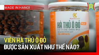 HTV - Đài Hà Nội