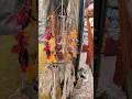 Dream Catcher #shortvideo #travel #music #viral #ytshorts #trendingshorts