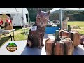 The Outdoors Delmarva Best of the First Half of 2024 Special (Part 4): 2024 Delaware Chainsaw