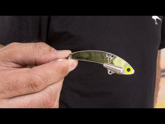 SteelShad Baits  ICAST 2019 