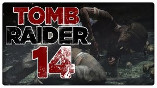 TOMB RAIDER 🏹 #14: Schwer verletzt