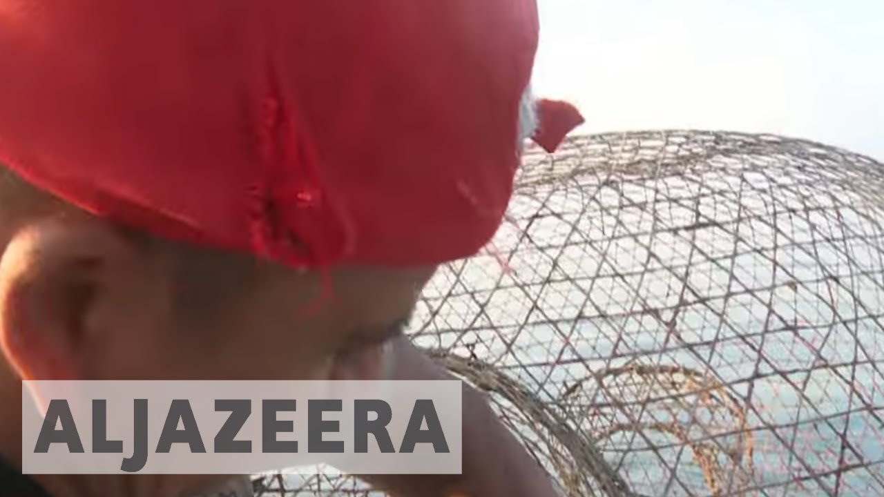 🇶🇦 صيادو الأسماك في قطر يتأثرون بالصدع الخليجي