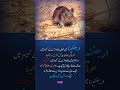 Cases Nearly Doubled—Hantavirus Spreading Fast #Urgent #Argentina