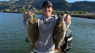 Smallmouth FRENZY on the Columbia River Gorge (100+)🔥