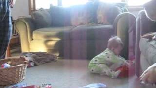 Lily Crawls