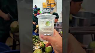 Coconut To Cash The Smart Business Behind Coconut Water
