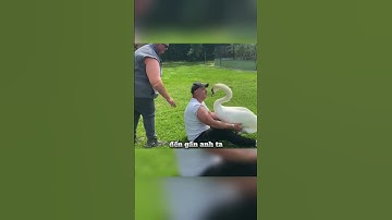 Một hành động tốt và cái kết bất ngờ... 🥰