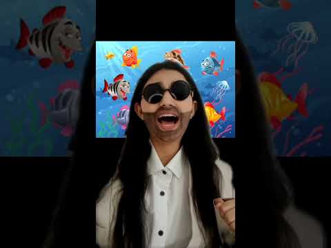 بيبي شارك بالتركي 